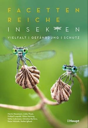 Cover for Martin Husemann · Facettenreiche Insekten (Paperback Book) (2022)
