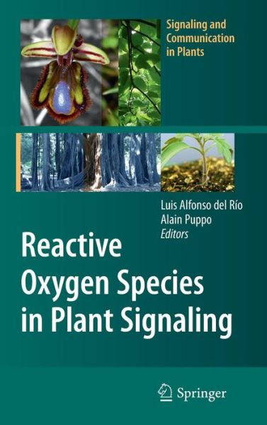 Cover for Luis Alfonso Del Rio · Reactive Oxygen Species in Plant Signaling - Signaling and Communication in Plants (Hardcover Book) (2009)