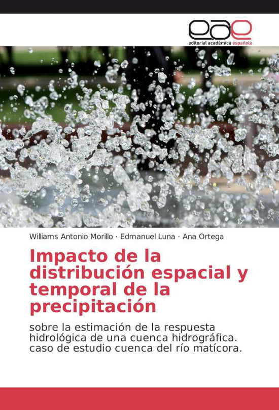 Cover for Morillo · Impacto de la distribución espa (Book)