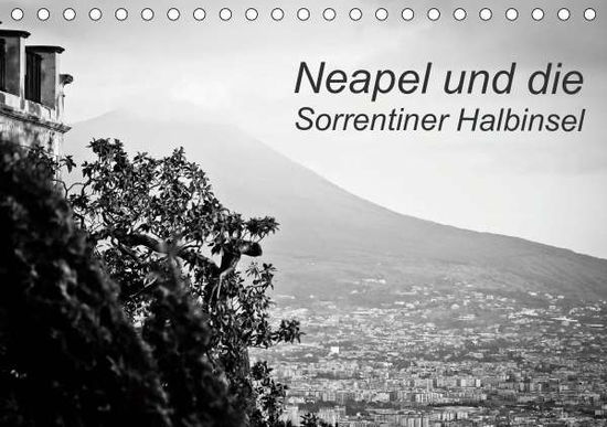 Cover for Reinecke · Neapel und die Sorrentiner Hal (Book)