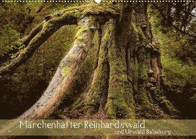 Cover for Michael Pohl · Märchenhafter Reinhardswald und Urwald Sababurg (Wandkalender 2022 DIN A2 quer) (Calendar) (2021)