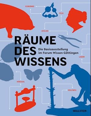 Cover for Marie Luisa Allemeyer · Räume des Wissens (Hardcover Book) (2022)