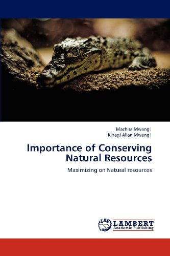 Cover for Kihagi Allan Mwangi · Importance of Conserving Natural Resources: Maximizing on Natural Resources (Pocketbok) (2012)