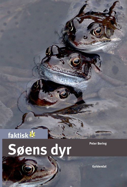 Cover for Peter Bering · Faktisk!: Søens dyr (Gebundesens Buch) [1. Ausgabe] (2021)