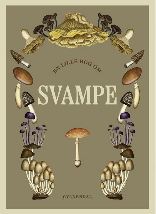 Cover for Gyldendal · En lille bog om svampe (Inbunden Bok) [1:a utgåva] (2024)