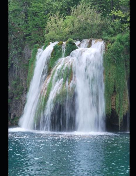 How do a single Holiness Christian live? - Johnnie Griffith - Books - Independently Published - 9798413720899 - February 7, 2022