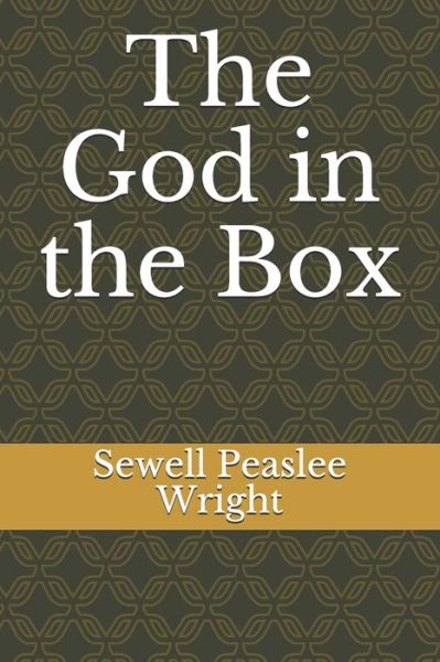 Cover for Sewell Peaslee Wright · The God in the Box (Paperback Book) (2021)