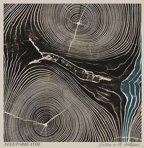 Cover for Needtobreathe · Rivers in the Wasteland (LP) (2014)