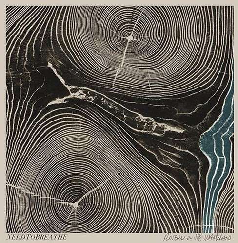 Rivers in the Wasteland - Needtobreathe - Musik - Atlantic - 0075678673900 - 15. april 2014