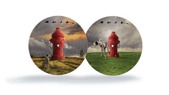 Cover for Rush · Signals (LP) [40th Anniversary Picture Disc edition] (2023)