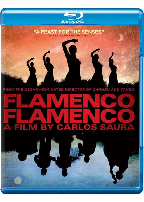 Flamenco Flamenco - Flamenco Flamenco - Movies - Music Box Films - 0741360538900 - August 4, 2015