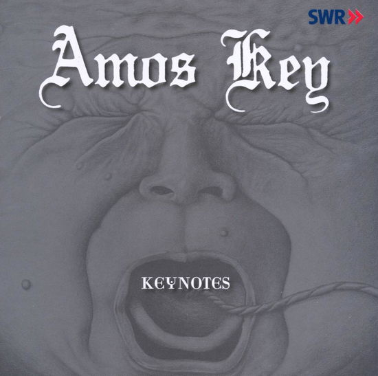 Cover for Amos Key · Keynotes (CD) (2010)