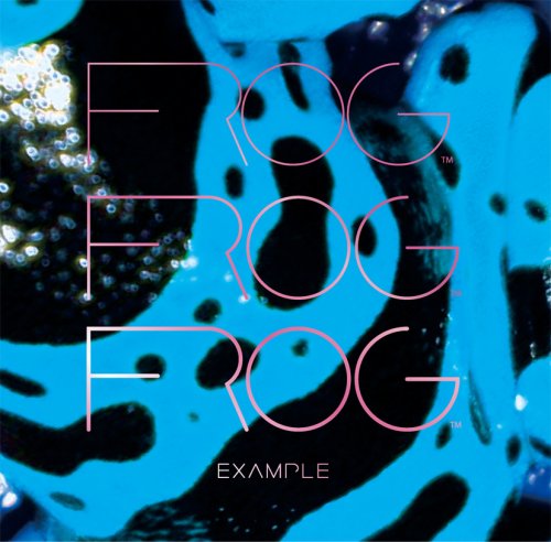 Cover for Frog · Example (CD) (2008)