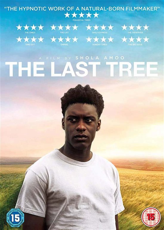 Cover for The Last Tree DVD · The Last Tree (DVD) (2020)