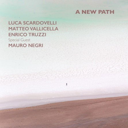 A New Path - Scardovelli, Luca / Vallicella, Matteo / Truzzi, Enrico - Music - TRJ - 8146520210900 - March 19, 2021