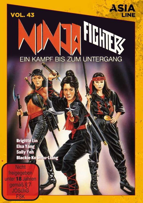 Cover for Asia Line · Ninja Fighters (DVD) (2021)