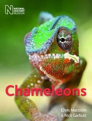 Cover for Chris Mattison · Chameleons (Paperback Book) (2012)