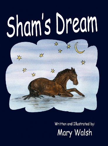 Cover for Mary Walsh · Sham's Dream (Gebundenes Buch) [1st edition] (2011)