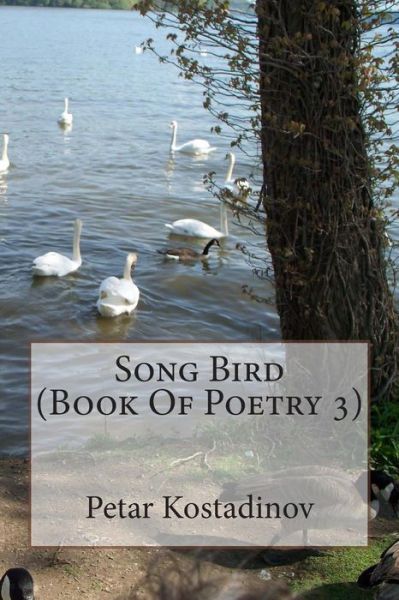 Cover for Petar Kostadinov · Song Bird (Book of Poetry 3) (Pocketbok) (2011)