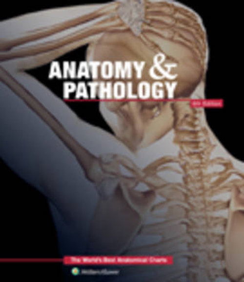 Anatomy & Pathology:The World's Best Anatomical Charts Book - The World's Best Anatomical Chart Series - Anatomical Chart Company - Books - Lippincott Williams and Wilkins - 9781469889900 - July 5, 2014