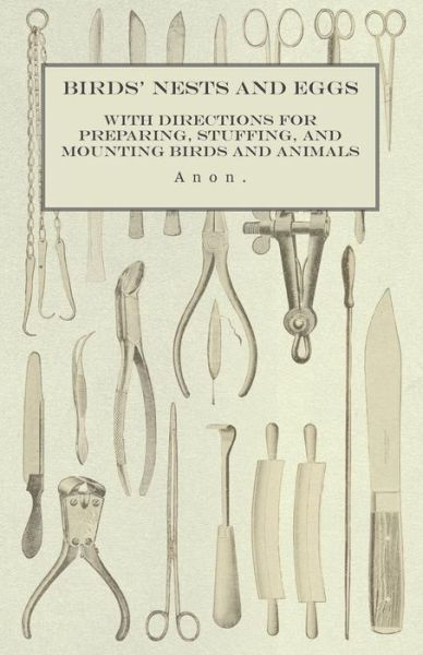 Cover for Anon · Birds' Nests and Eggs - With Directions for Preparing, Stuffing, and Mounting Birds and Animals (Paperback Book) (2015)