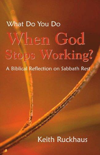 Cover for Keith Ruckhaus · When God Stops Working: a Biblical Reflection on Sabbath Rest (Paperback Book) (2002)