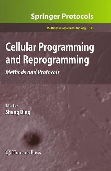 Cellular Programming and Reprogramming: Methods and Protocols - Methods in Molecular Biology - Sheng Ding - Książki - Humana Press Inc. - 9781607616900 - 25 marca 2010