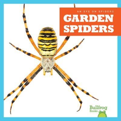 Garden Spiders - Kristine Spanier - Kirjat - Jump! Incorporated - 9781624967900 - keskiviikko 1. elokuuta 2018