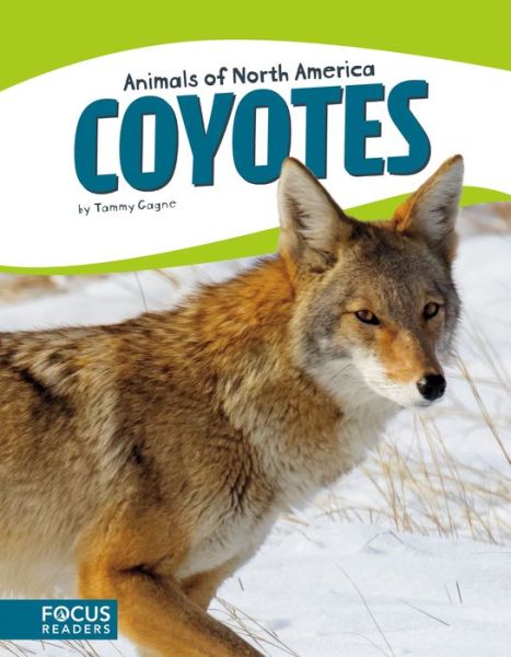 Cover for Tammy Gagne · Animals of North America: Coyotes (Paperback Book) (2017)