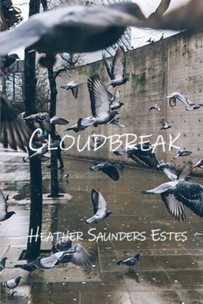 Cover for Heather Saunders Estes · Cloudbreak (Paperback Book) (2021)