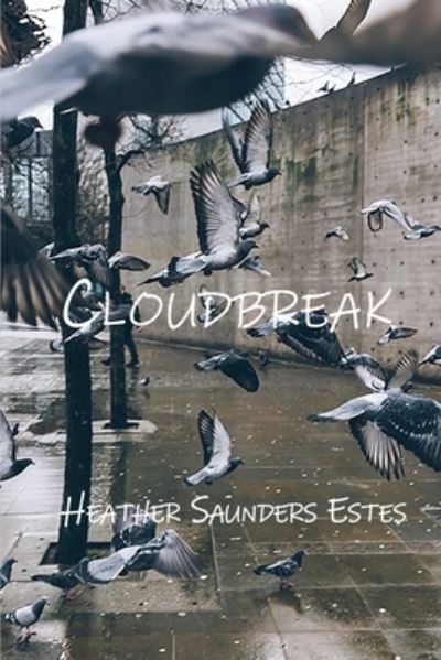 Cloudbreak - Heather Saunders Estes - Books - Poetic Matrix Press - 9781636496900 - May 20, 2021