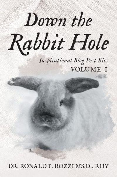 Cover for Msd Rhy Rozzi · Down the Rabbit Hole: Inspirational Blog Post Bits Volume 1 (Taschenbuch) (2021)