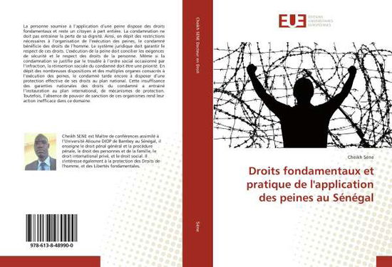 Cover for Sène · Droits fondamentaux et pratique de (Book)