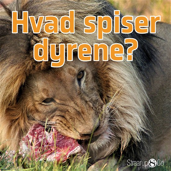 Cover for Marianne Randel Søndergaard · Pil: Hvad spiser dyrene? (Hardcover Book) [2e édition] (2021)