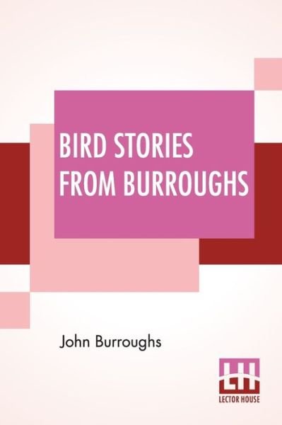 Cover for John Burroughs · Bird Stories From Burroughs (Paperback Book) (2021)