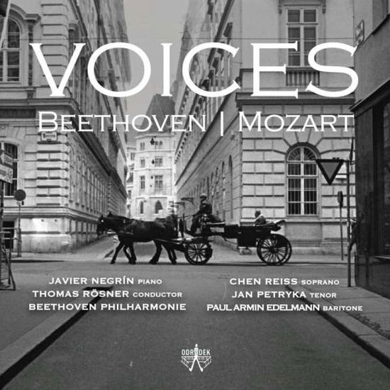 Javier Negrin  Chen Reis  Jan · Voices (CD) (2020)