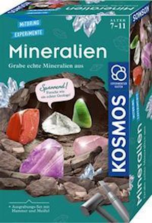 Cover for 657901 · 657901 - Mineralien Ausgrabungs-set - Grabe Echte Mineralien Aus - Deutsch (Toys)