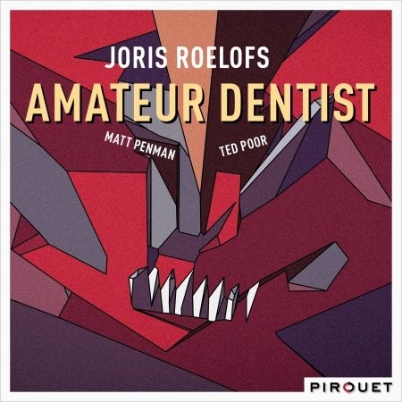 Cover for Joris Roelofs · Amateur Dentist (CD) (2015)