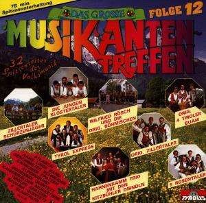 Das Grosse Musikantentreffen Folge 12 - Various Artists - Musik - TYROLIS - 9003549507901 - 31. december 1994