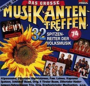 Das Grosse Musikantentreffen Folge 14 - Various Artists - Musik - TYROLIS - 9003549510901 - 25. september 1996