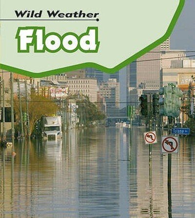 Cover for Catherine Chambers · Flood (Bok) [Rev. and updated edition] (2008)