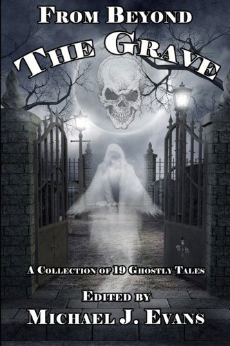 Cover for Michael J. Evans · From Beyond the Grave: a Collection of 19 Ghostly Tales (Paperback Book) (2013)