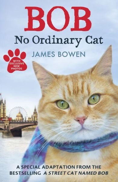 Bob: No Ordinary Cat - James Bowen - Livros - Hodder & Stoughton - 9781444764901 - 14 de fevereiro de 2013