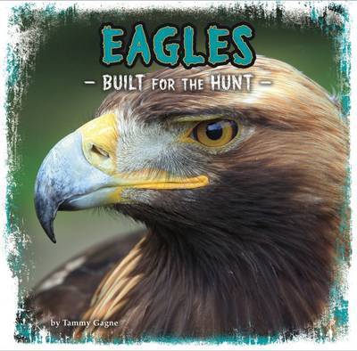 Cover for Tammy Gagne · Eagles: Built for the Hunt - First Facts: Predator Profiles (Paperback Book) (2017)