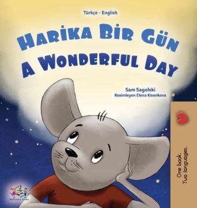 Cover for Sam Sagolski · Wonderful Day (Turkish English Bilingual Book for Kids) (Book) (2023)