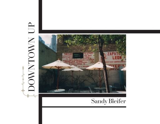 Cover for Sandy Bleifer · Downtown Up (Paperback Book) (2019)