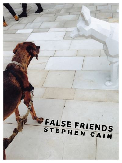 Cover for Stephen Cain · False Friends (Paperback Book) (2017)