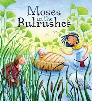 Moses in the Bulrushes - My First Bible Story Series - Katherine Sully - Books - Authentic Media - 9781788930901 - September 6, 2019