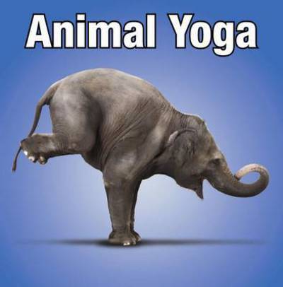 Cover for Willow Creek Press · Animal Yoga (Hardcover Book) (2015)