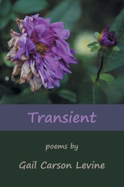 Cover for Gail Carson Levine · Transient (Pocketbok) (2016)